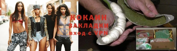 прущие грибы Балахна