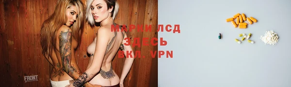 прущие грибы Балахна