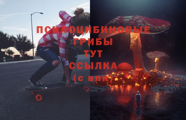 прущие грибы Балахна