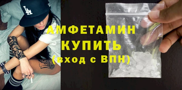 прущие грибы Балахна