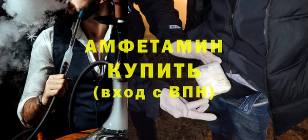 прущие грибы Балахна