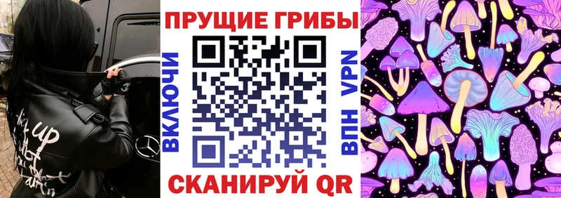 где продают   МЕГА маркетплейс  Галлюциногенные грибы Psilocybe  Белозерск 